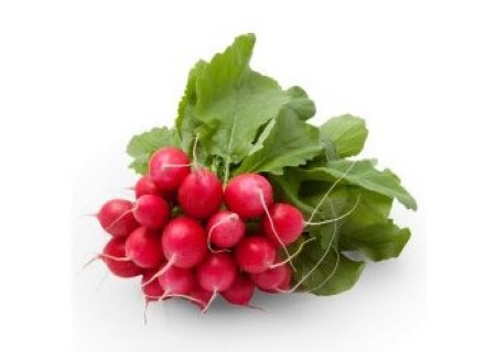 RADIJS (PER BOS)