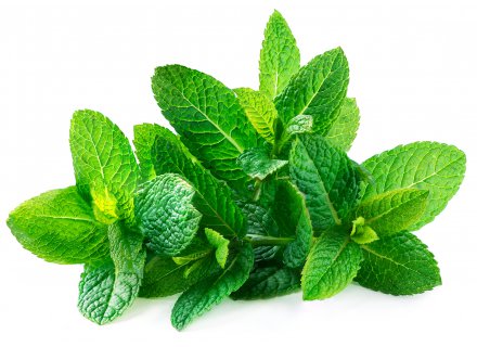 MINT / NANE (PER BOS)