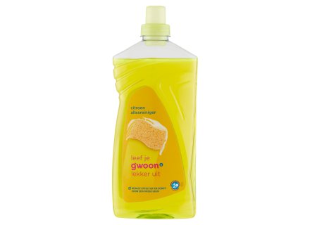 G'WOON ALLESREINIGER CITROEN 1250 ML