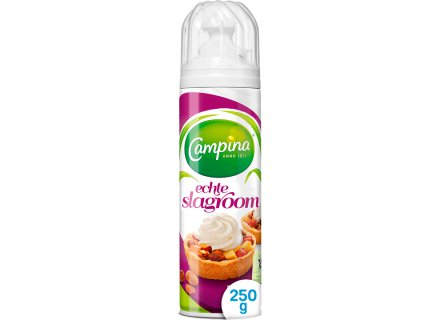 CAMPINA ECHTE SLAGROOM 250G