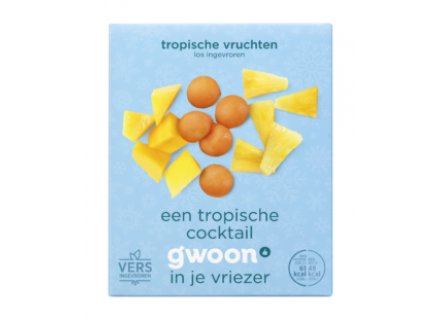 GWOON TROPISCHE VRUCHTEN 250G