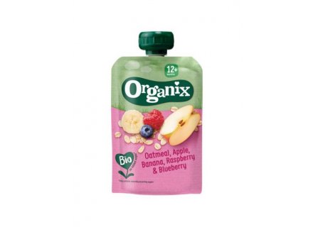 ORGANIX JUST OATMEAL,APPLE,BANAN 100G