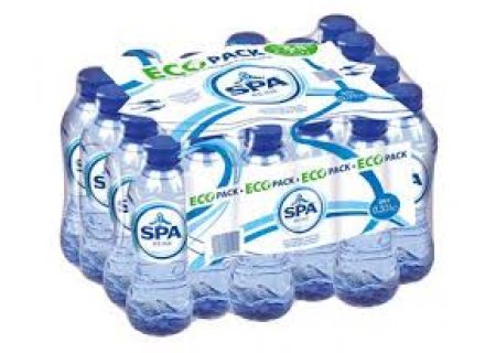 SPA REINE WATER 24X330ML