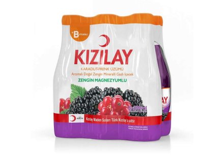 KIZILAY BRAMEN-FRENK DRUIVEN 6X200ML
