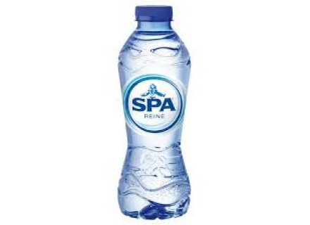 SPA REINE WATER 330ML
