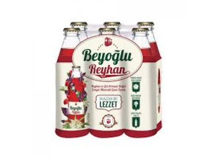 BEYOGLU GAZEUSE (REYHAN) 6X250ML