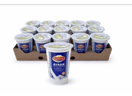 SAHANE AYRAN YOGHURT DRANK 20X250ML